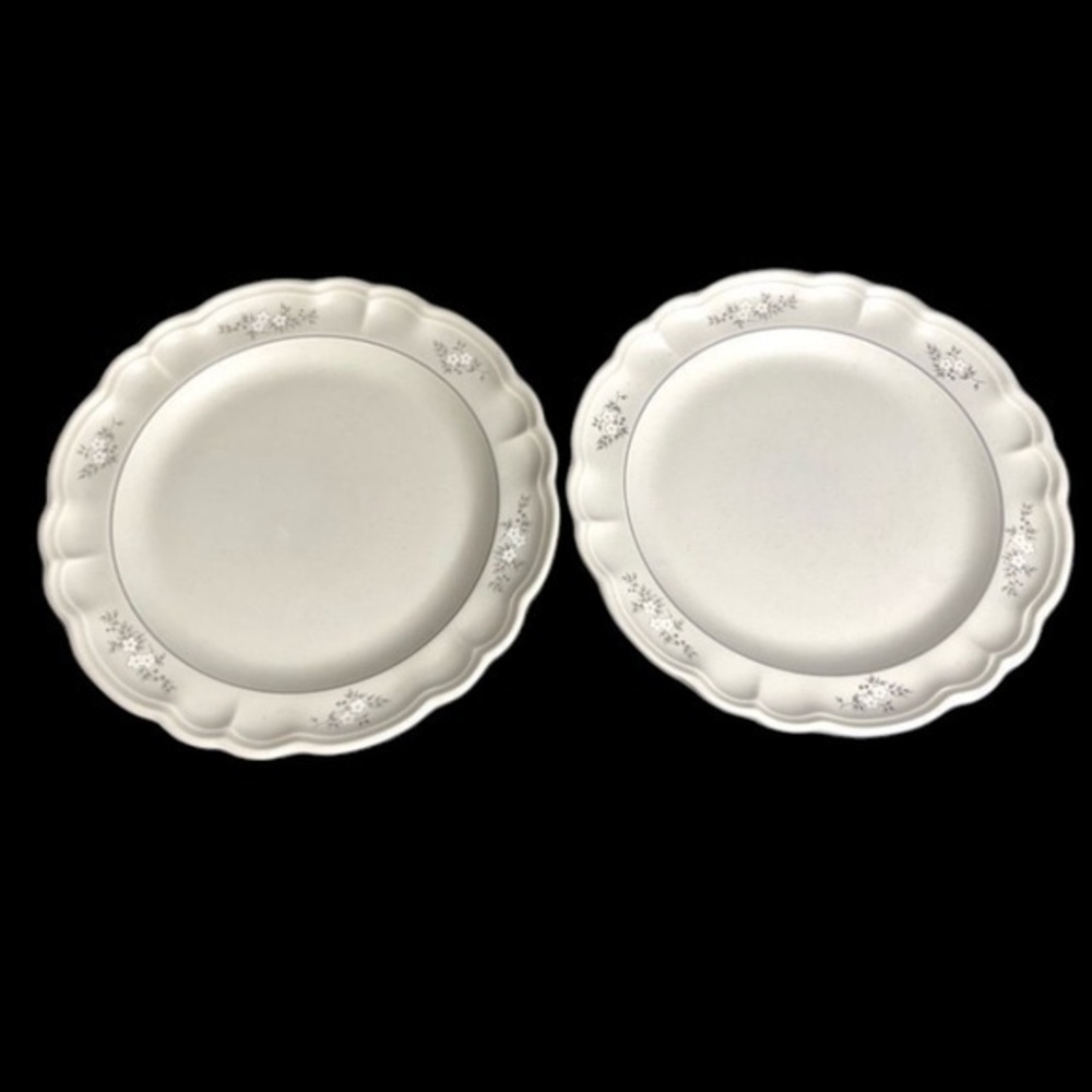 2 Pfaltzgraff Heirloom 10 1/2” Dinner Plates - Retired  Floral made in 🇺🇸